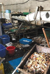 餐具消毒企業(yè)被查引關(guān)注，餐飲行業(yè)衛(wèi)生管理再敲警鐘